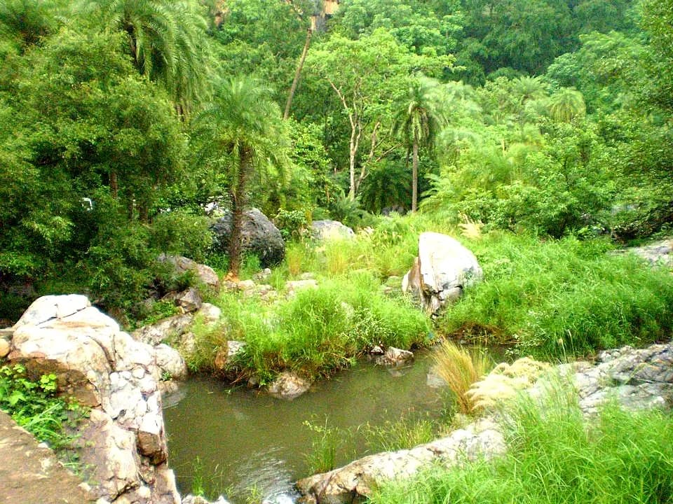 Dry Aravalli forest and hills inside Sariska Tiger Reserve