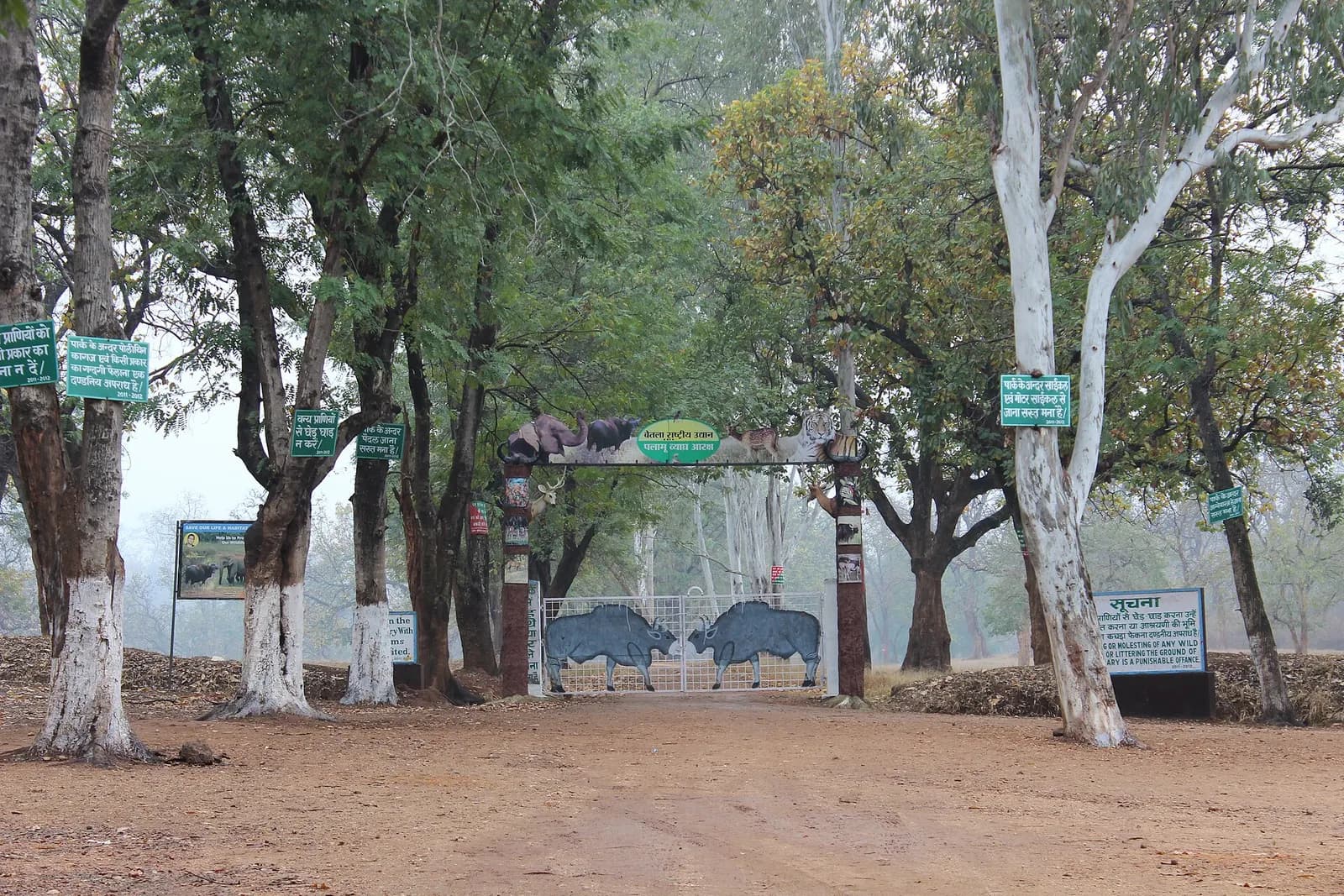 The forest gateway at the entrance to Betla National Park in Palamu, Jharkhand