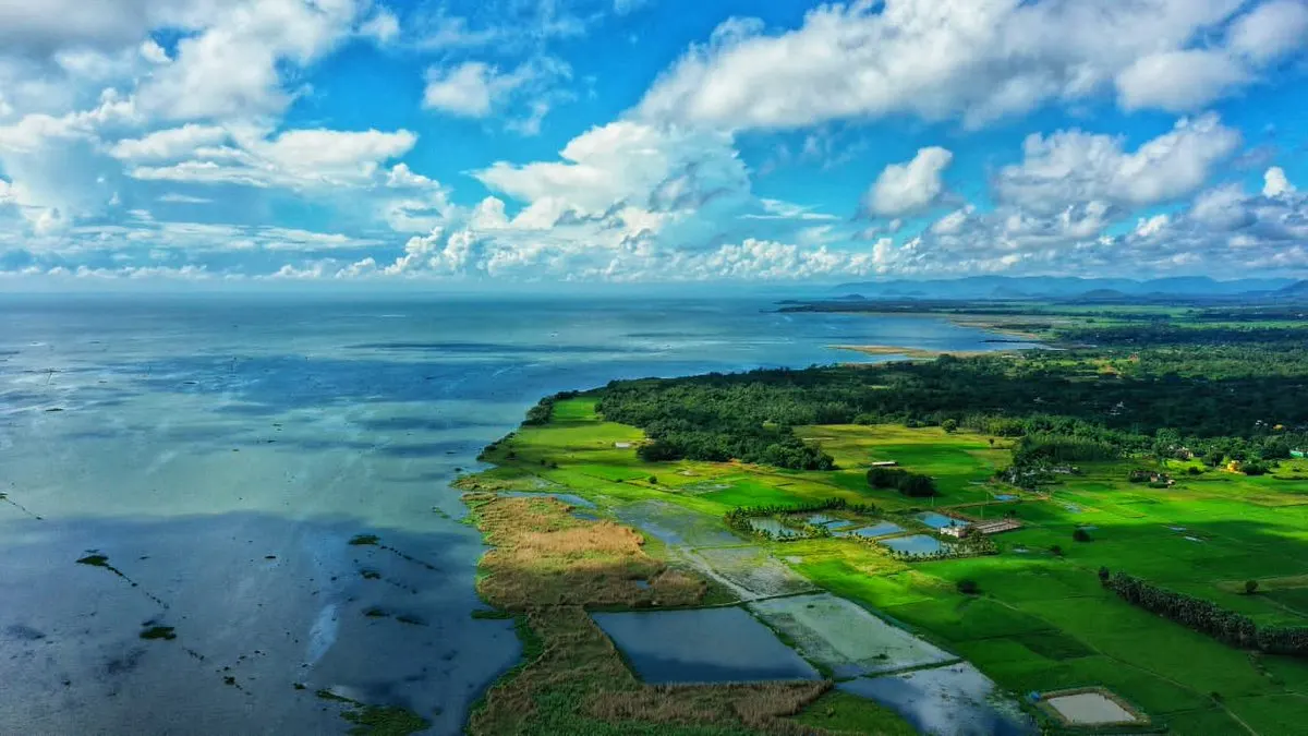 An aerial view of the wide brackish water and low islands of Chilika Lake in Odisha