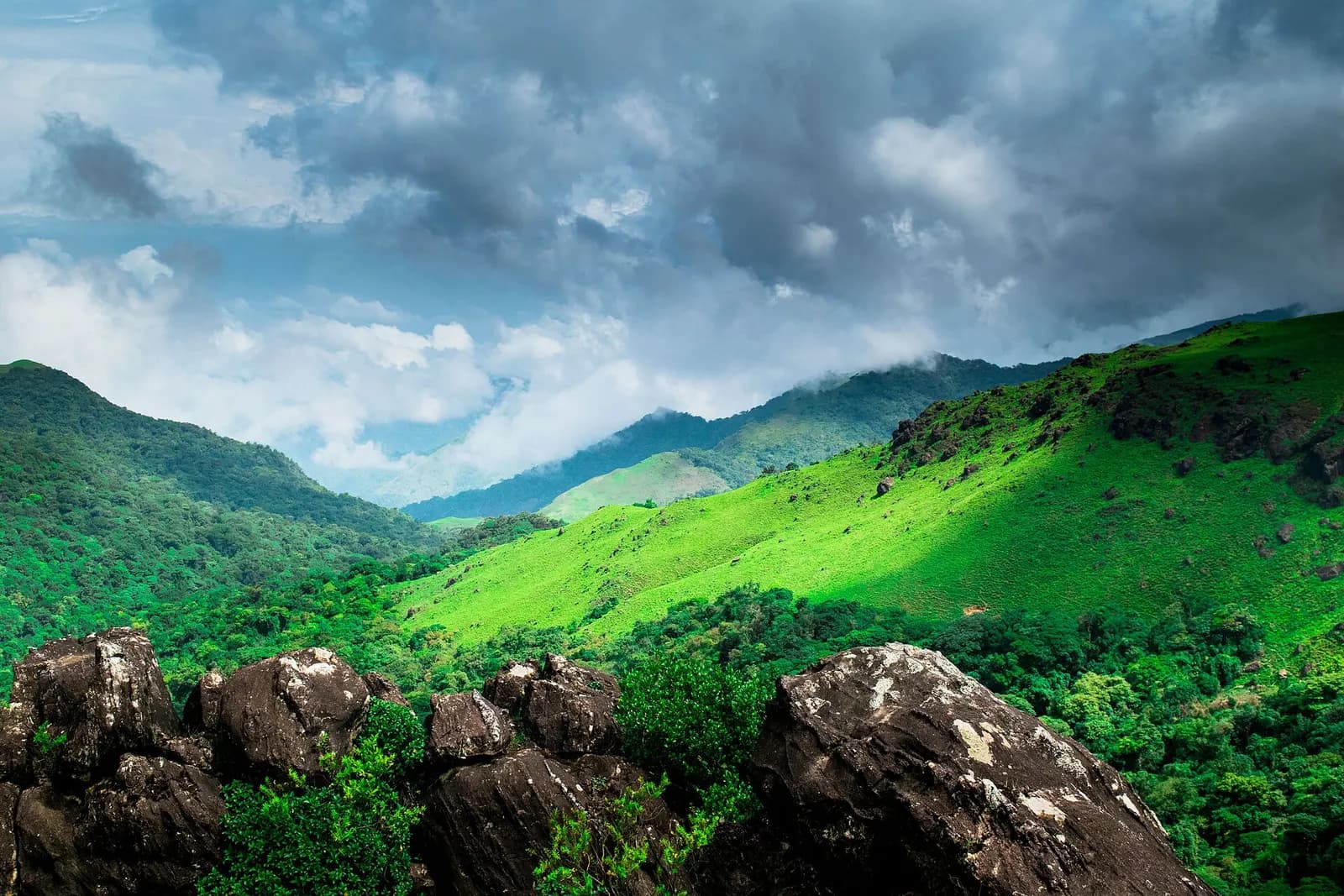Mist over the coffee estates and forested ridges of Kodagu in Karnataka