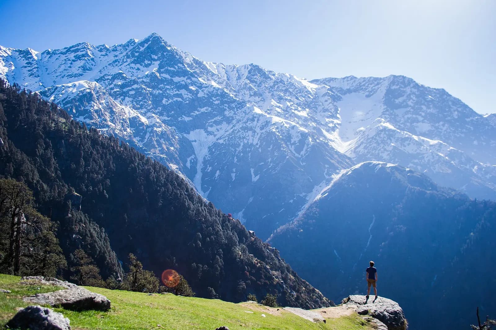 McLeod Ganj houses climbing the ridge with the snow-covered Dhauladhar range above