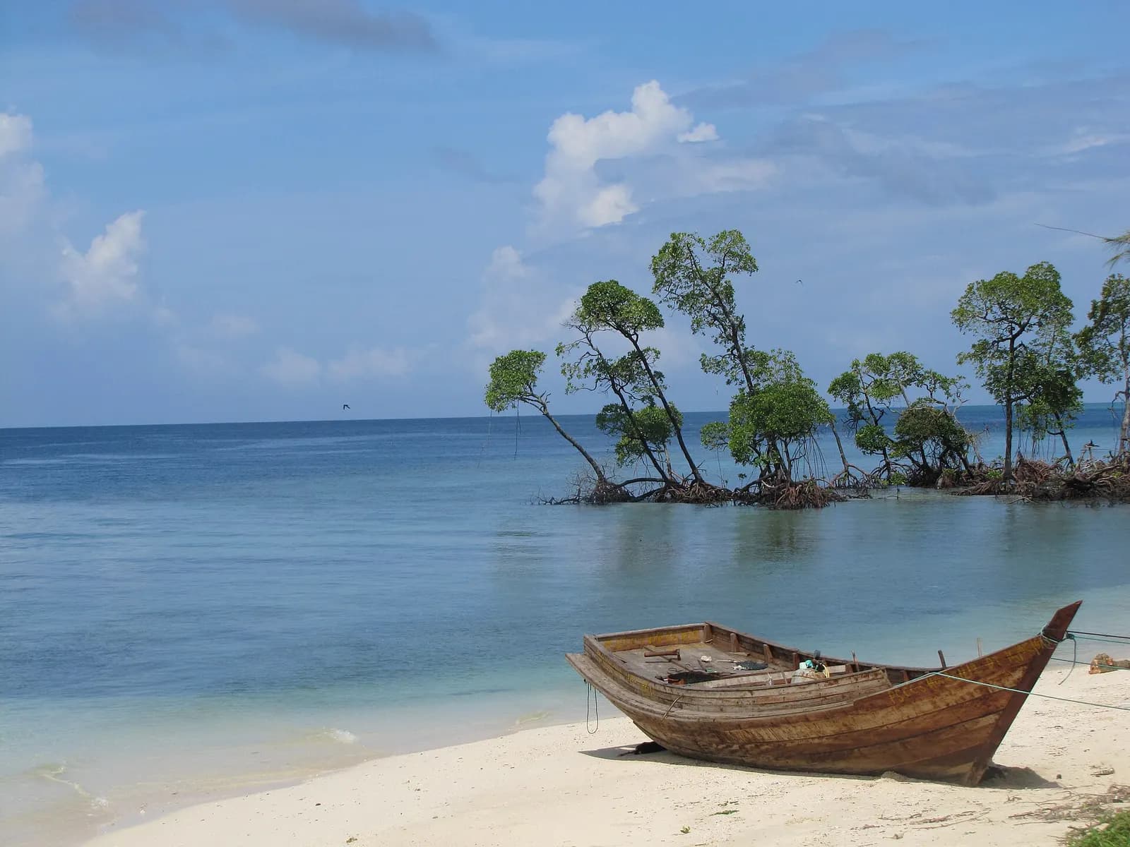 The white sand arc of Radhanagar Beach on Havelock Island backed by rainforest