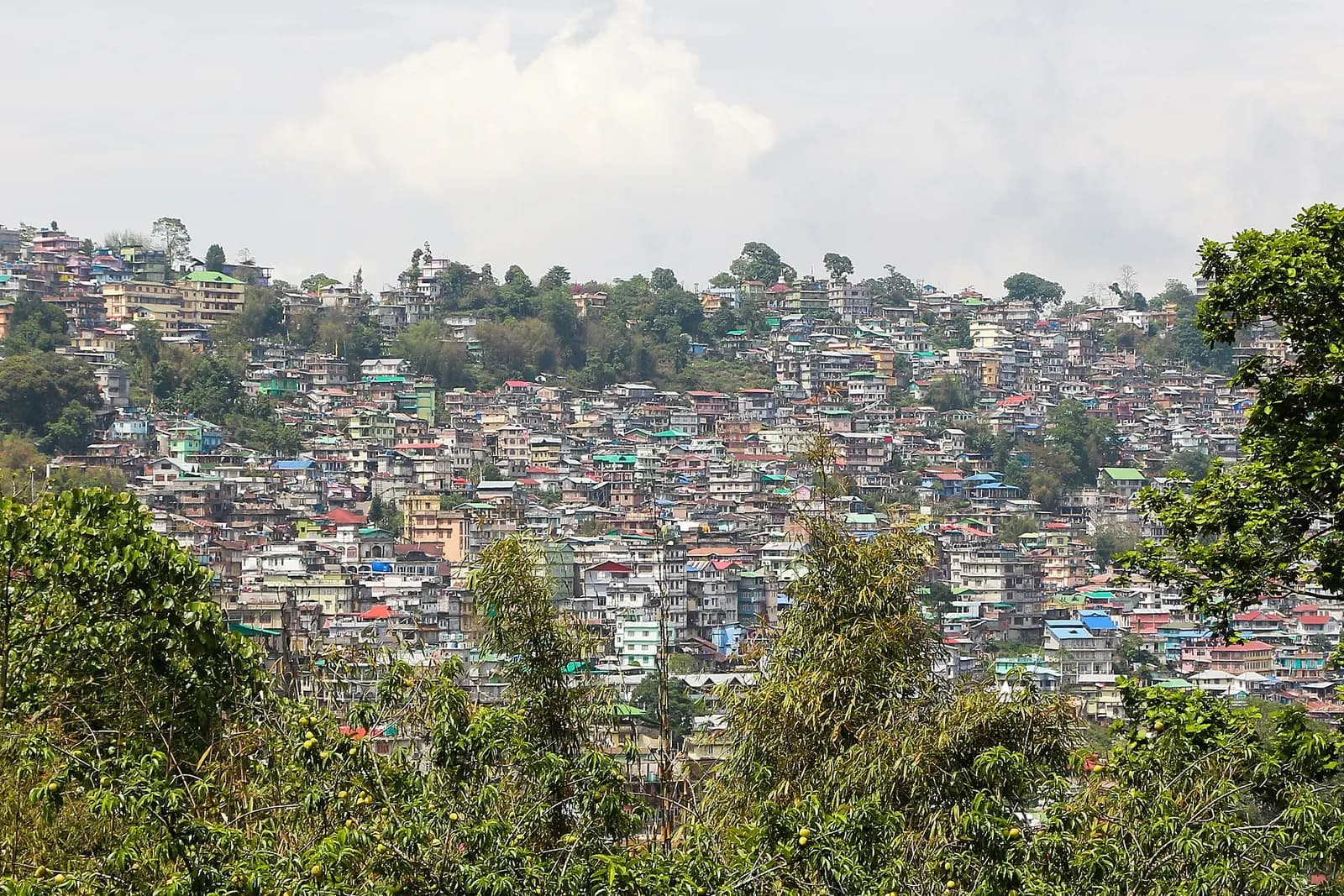 Kalimpong town spread along its Himalayan ridge with terraced slopes and cloud below