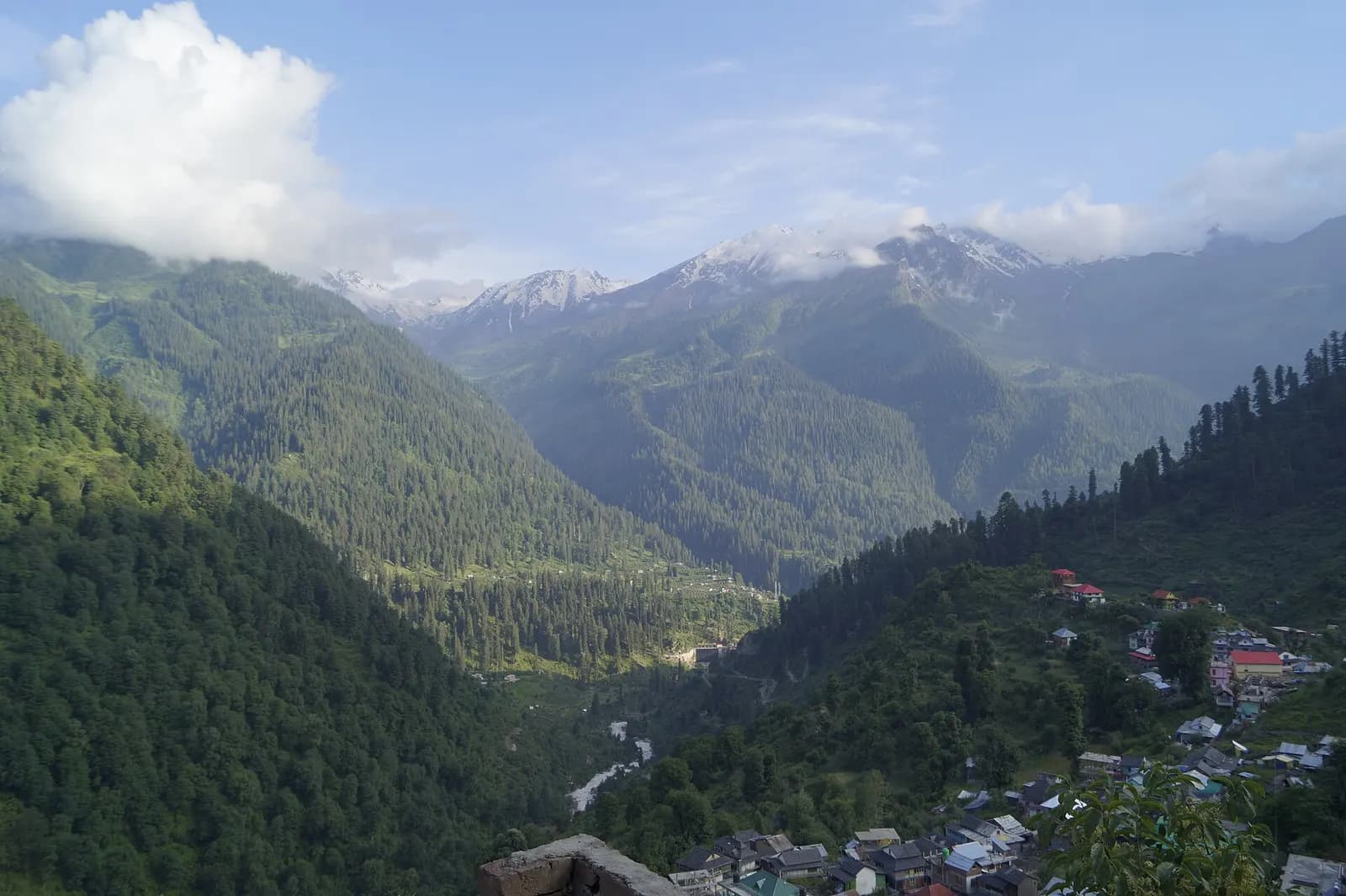 Parvati river rushing through the pine-forested Parvati Valley near Kasol