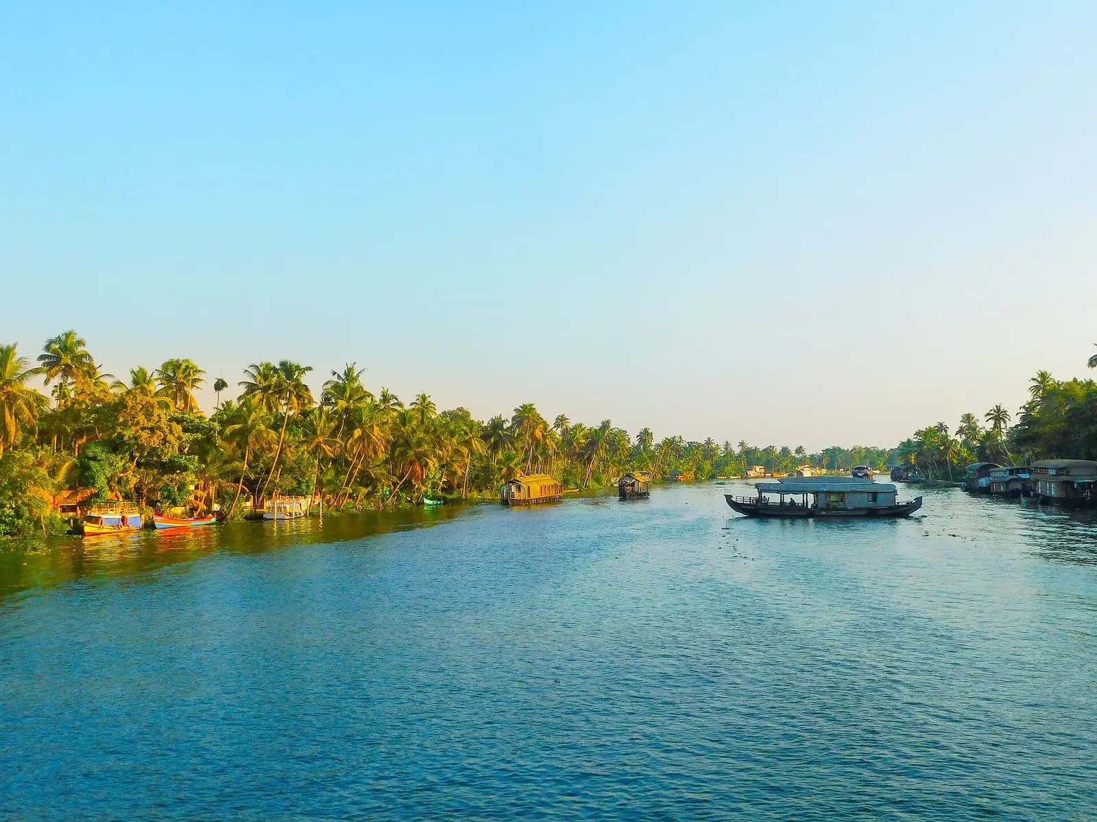 Canoes and coconut palms on the Vembanad backwaters at Kumarakom, Kerala