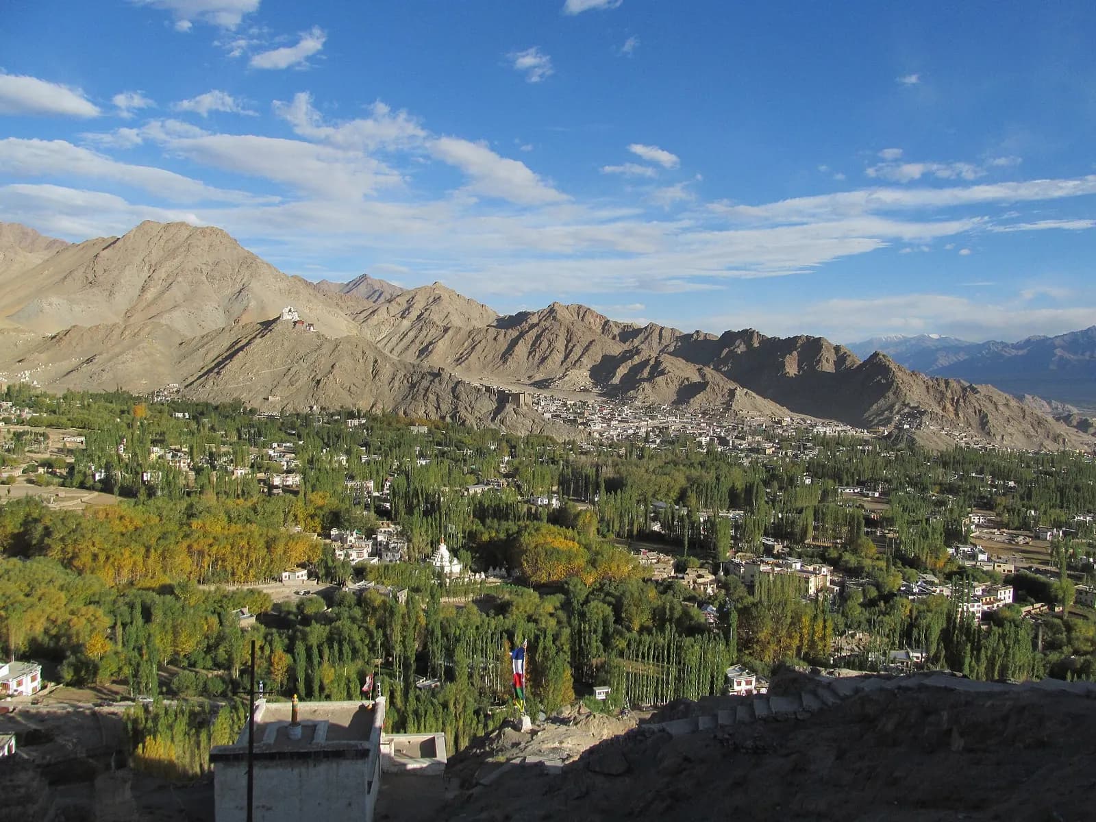 Leh Palace above the old town of Leh with the bare mountains of Ladakh behind