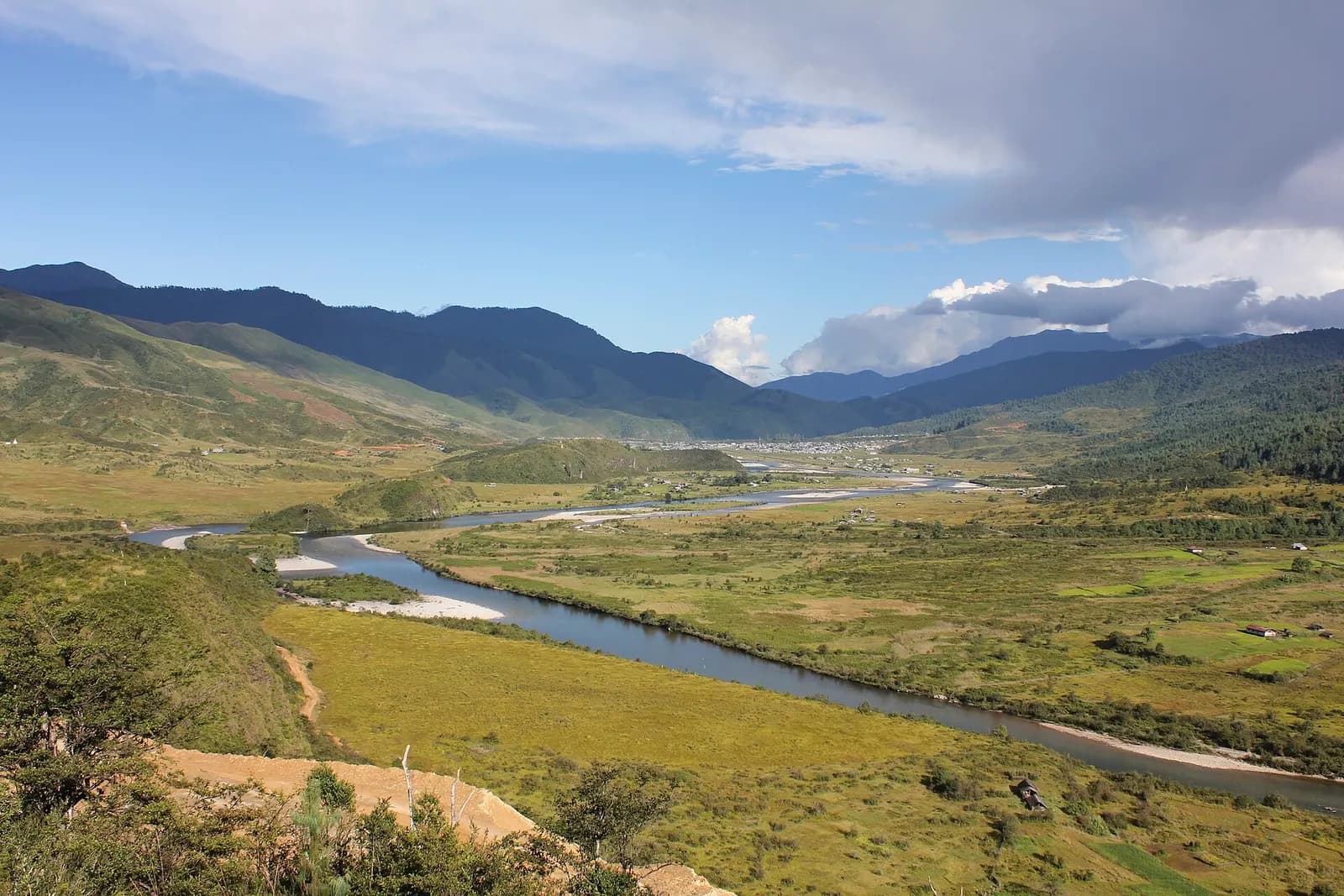 The Siyom river winding through the pine-fringed Mechuka valley in Arunachal Pradesh