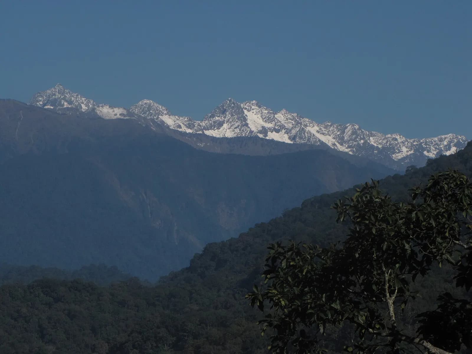 Dense rainforest and the Noa-Dihing river in Namdapha National Park, Arunachal Pradesh