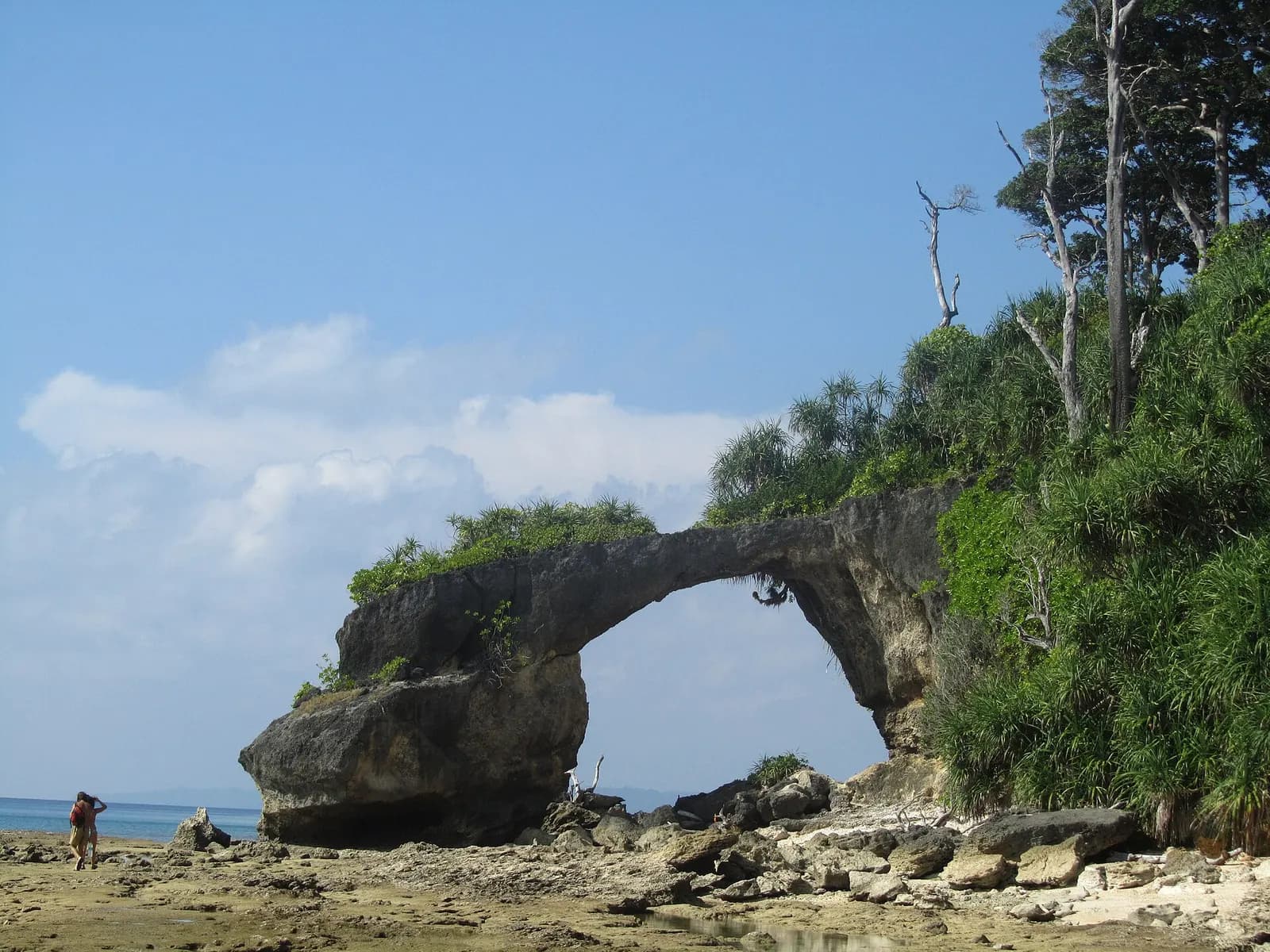 Shallow turquoise water and the natural coral bridge at Laxmanpur Beach on Neil Island