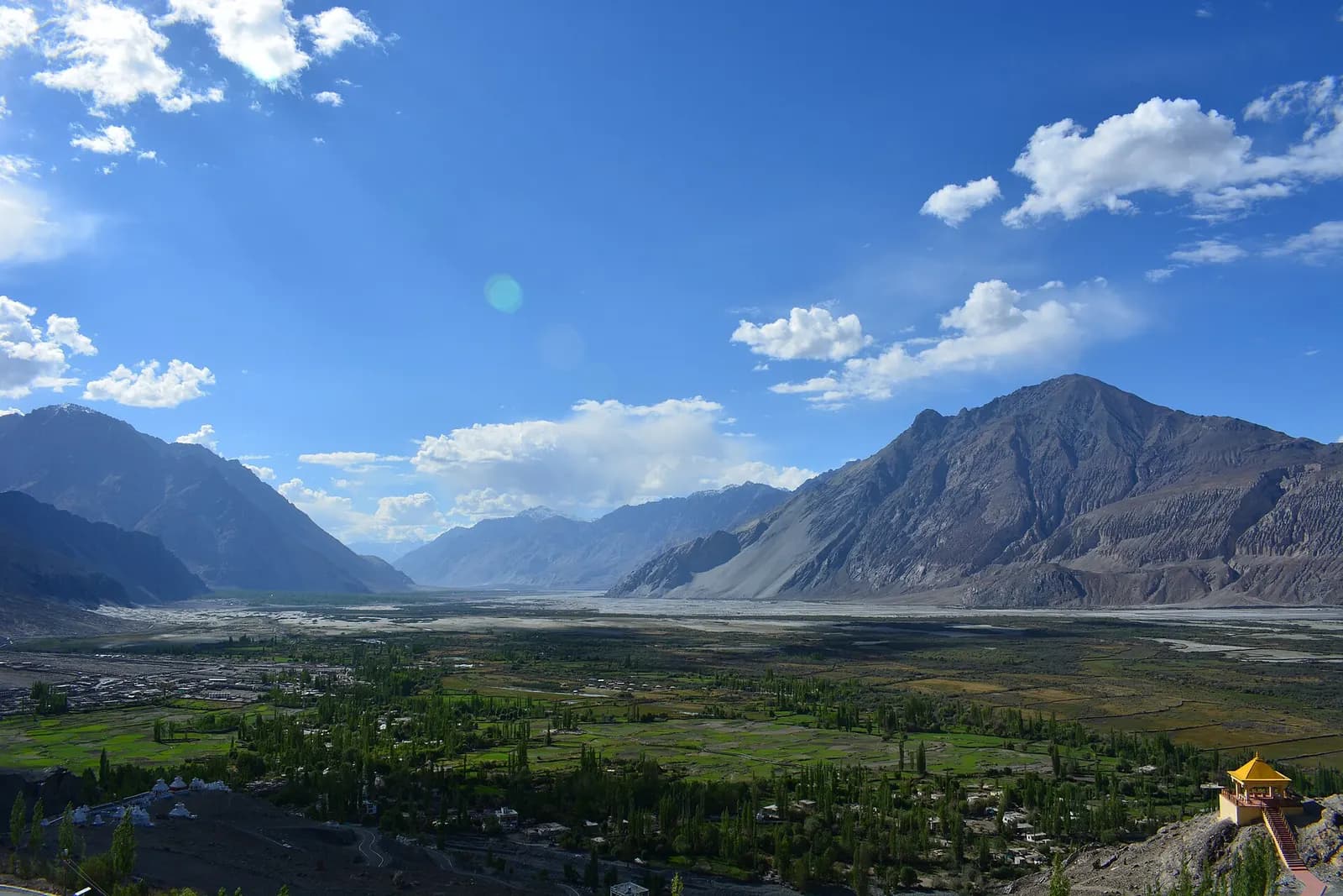 Bactrian camels on the sand dunes of Hunder in Nubra Valley with mountains behind