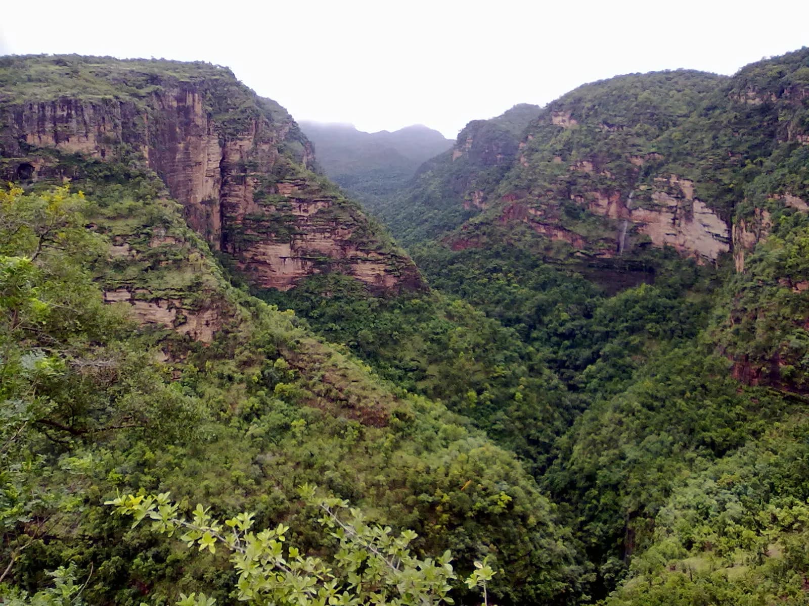 Forested sandstone ridges of the Satpura hills around Pachmarhi under a monsoon sky