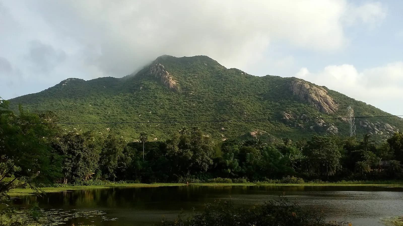 Sal forest and rolling hills inside the Simlipal tiger reserve in Mayurbhanj, Odisha
