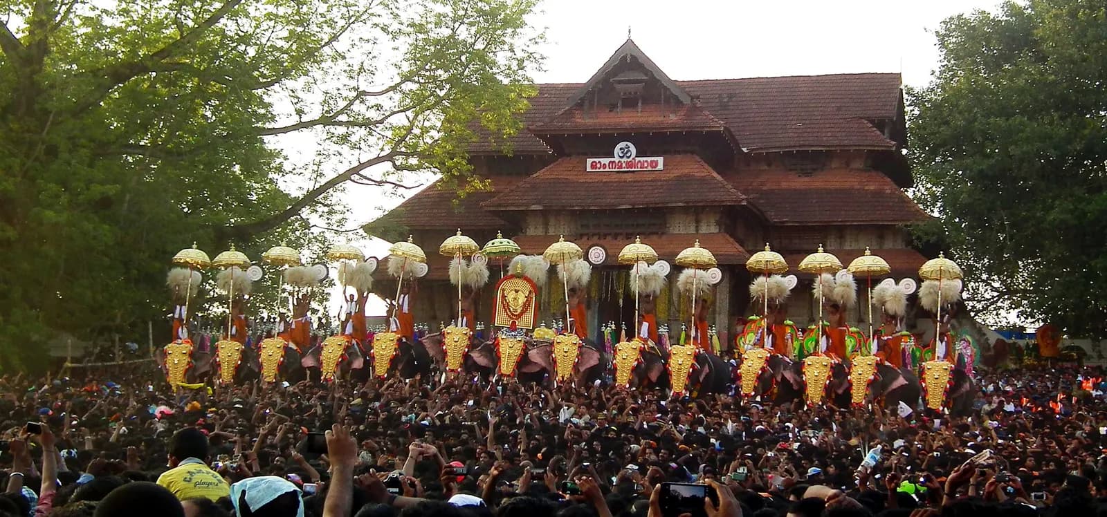 Caparisoned elephants and silk parasols during the Thrissur Pooram festival in Kerala