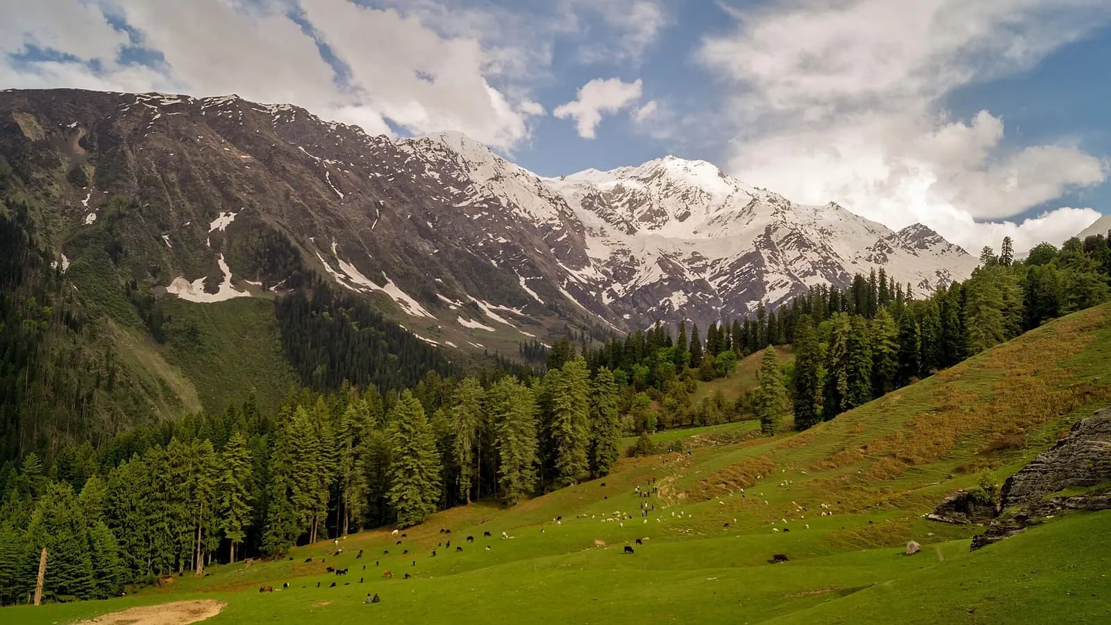 River and forested slopes of the Great Himalayan National Park at the head of Tirthan Valley