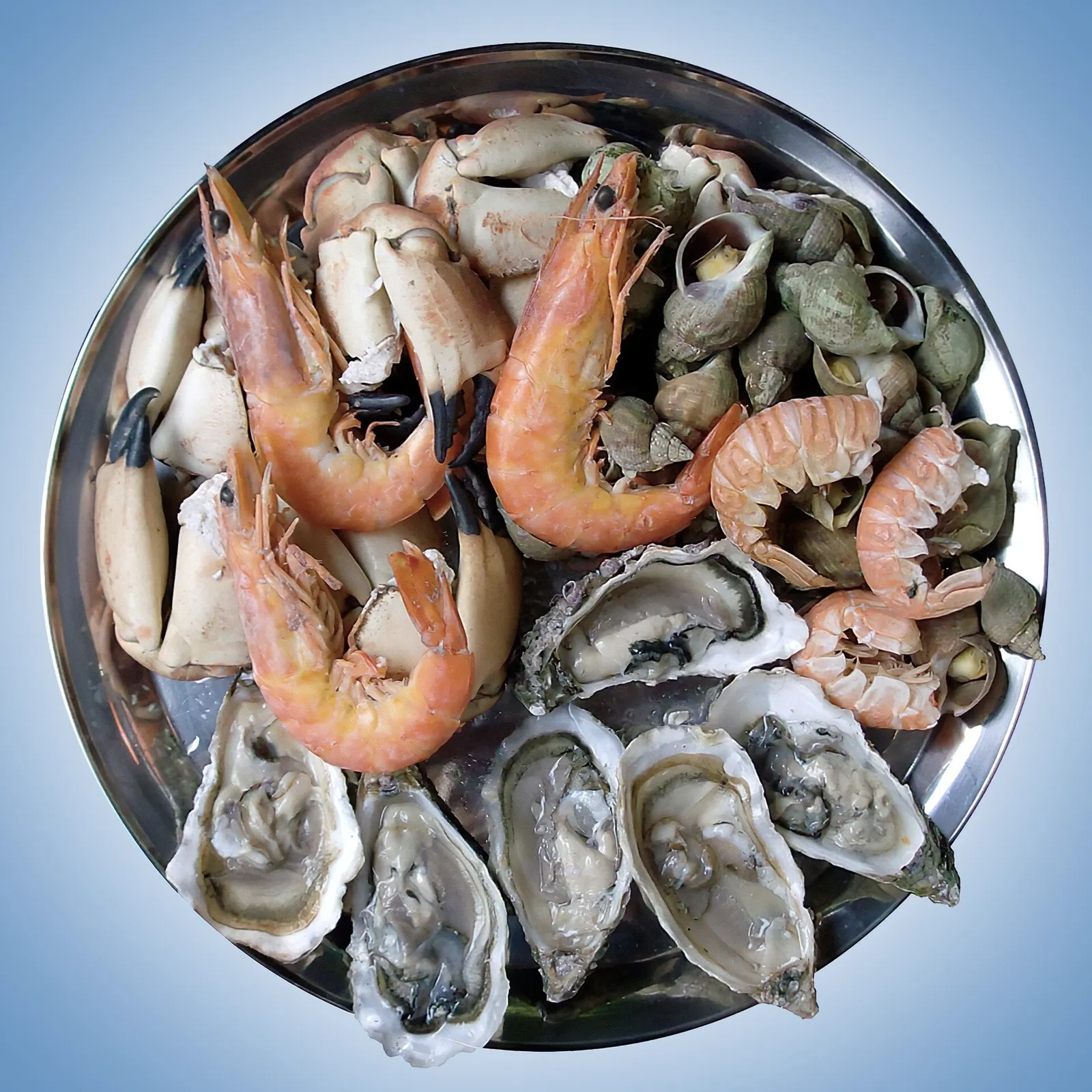A platter of fresh seafood, prawns and shellfish