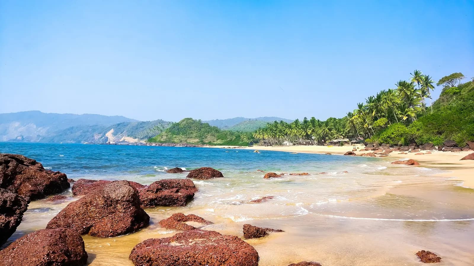 Palm-backed sand and surf on a Goan beach on the Arabian Sea