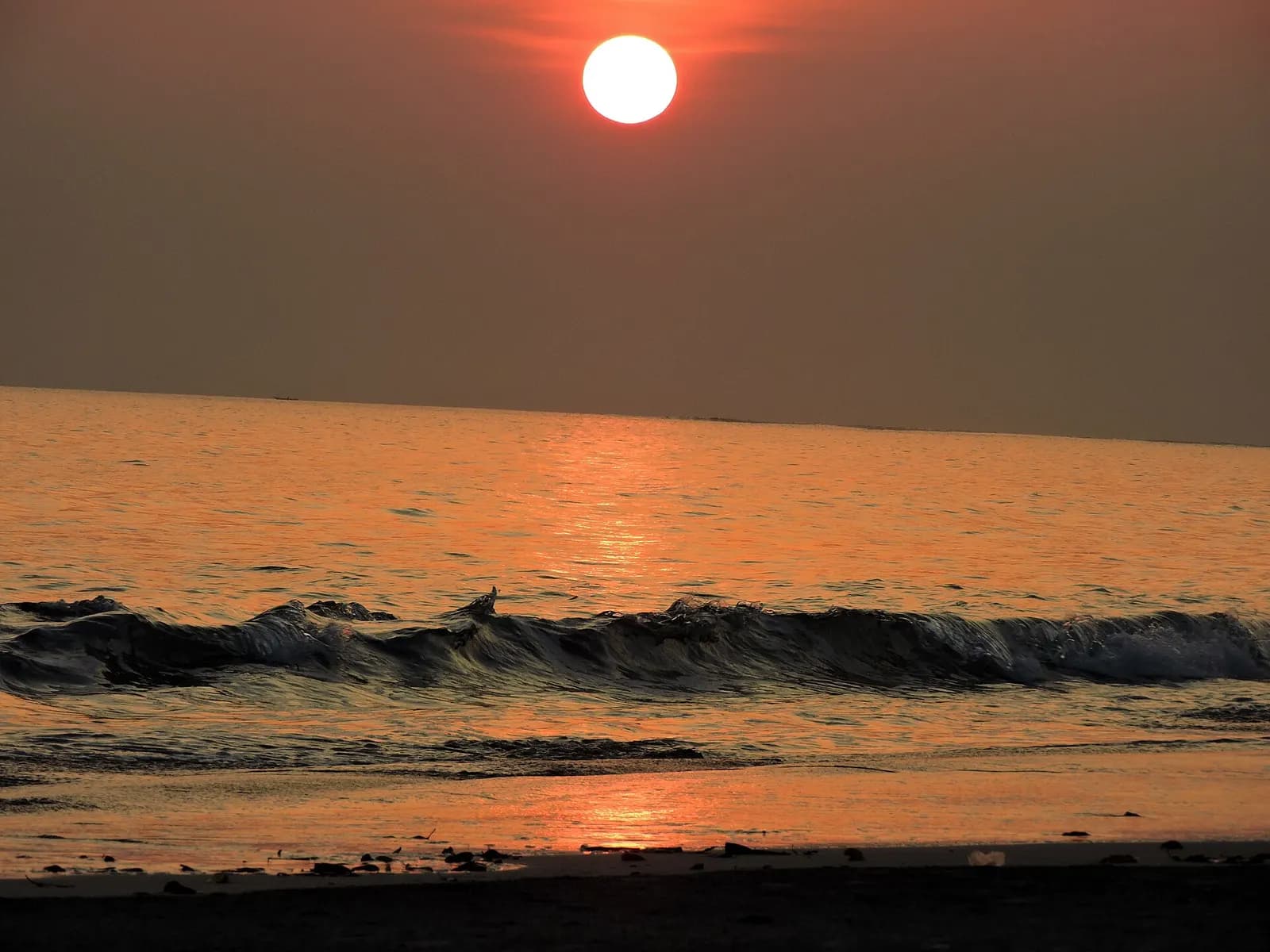 The white sand curve of Radhanagar Beach on Havelock Island with turquoise water and forest behind